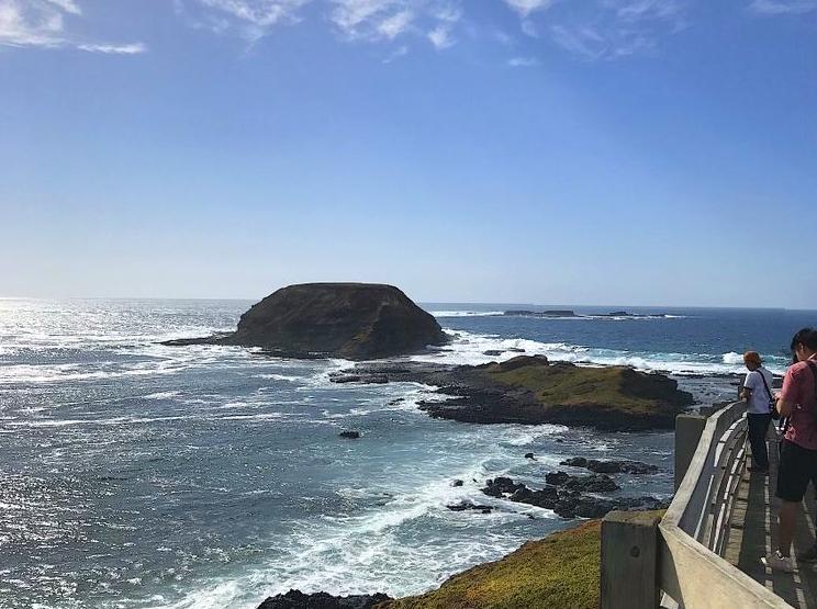 Island Perspectives and Avian Observation from Lion Island