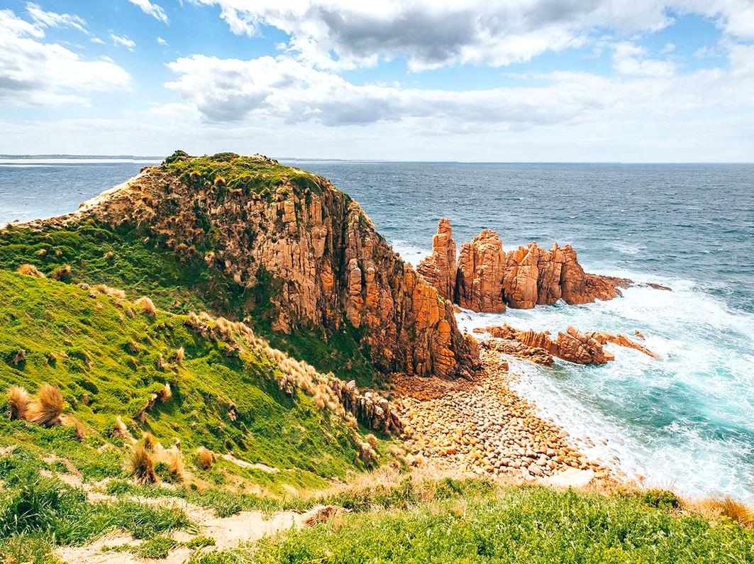 Lion Island Lookout: Birdwatching and Scenic Island Views