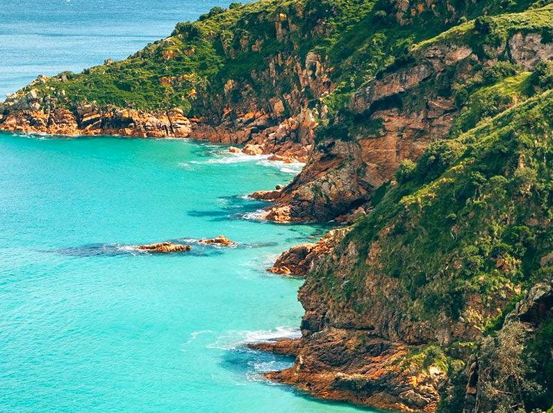 Observing Birds and Stunning Vistas at Lion Island Lookout