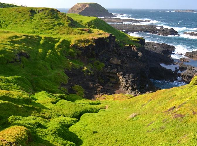 Island Horizons and Birdwatching Experiences at Lion Island