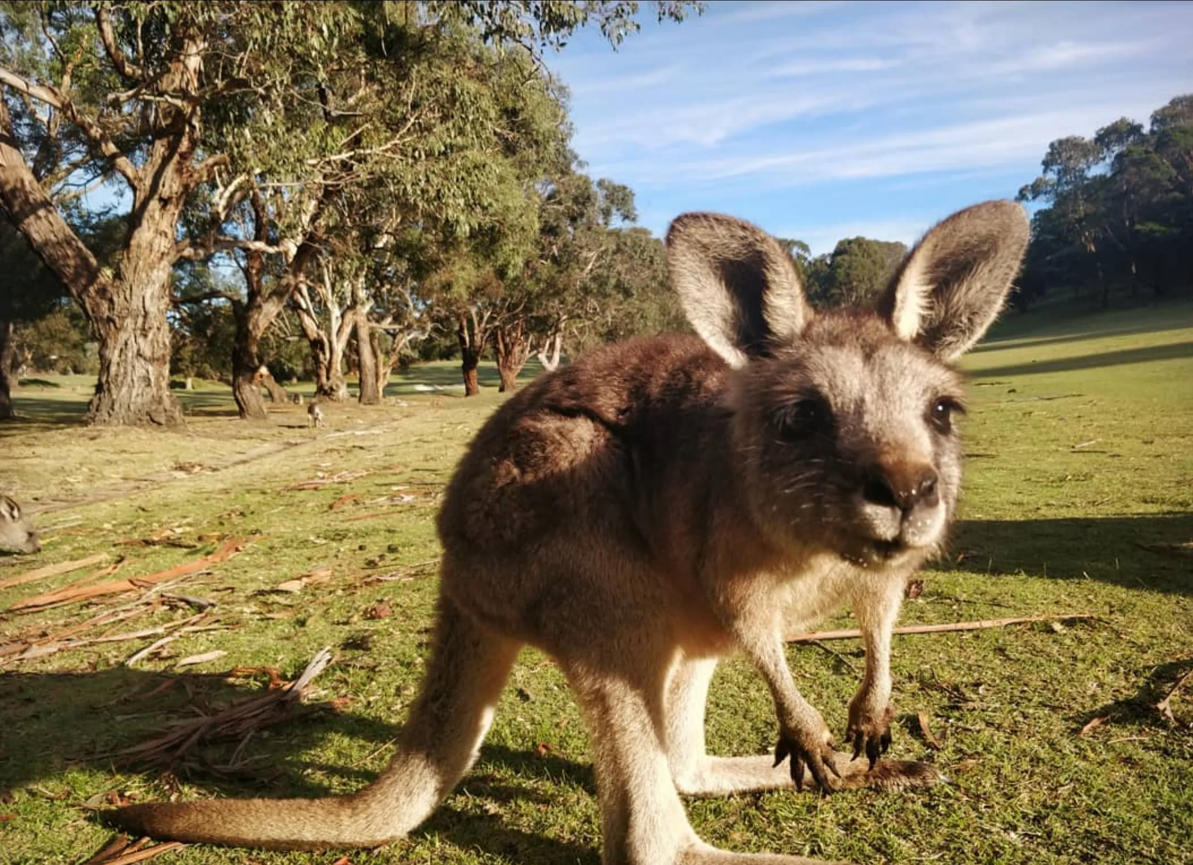 Tower Hill Wildlife Reserve