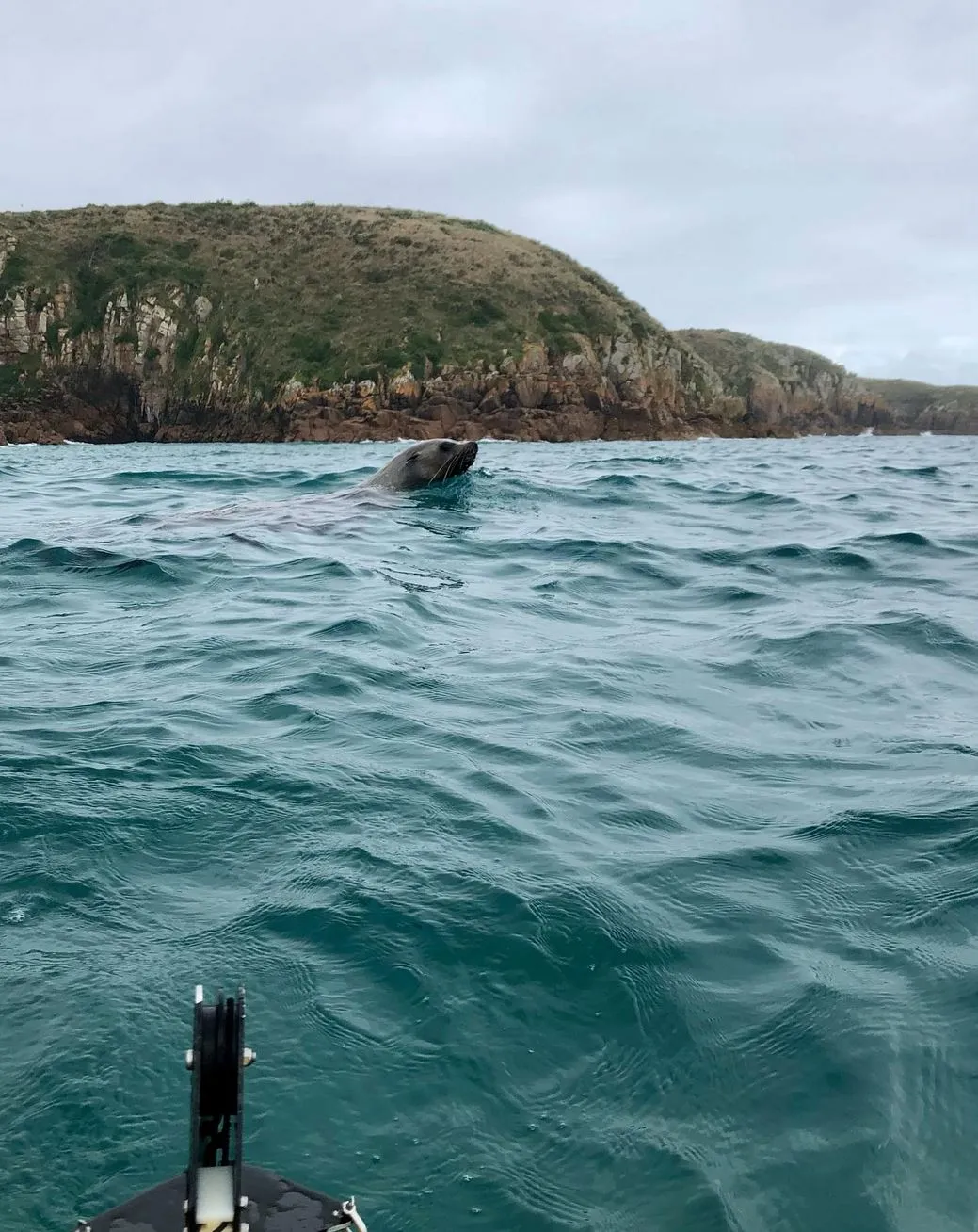 Best Time to Paddle Phillip Island’s Beautiful Beaches