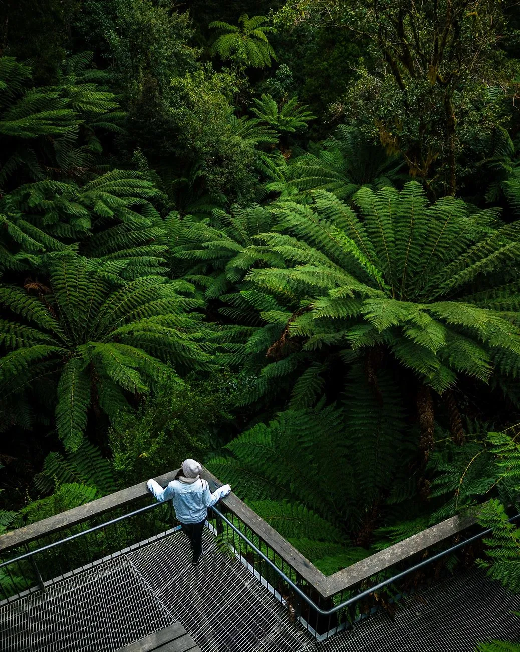 Great Otway National Park
