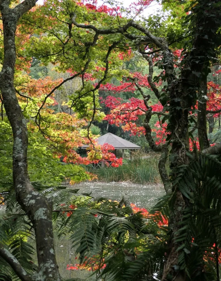 Is Dandenong near Yarra Valley