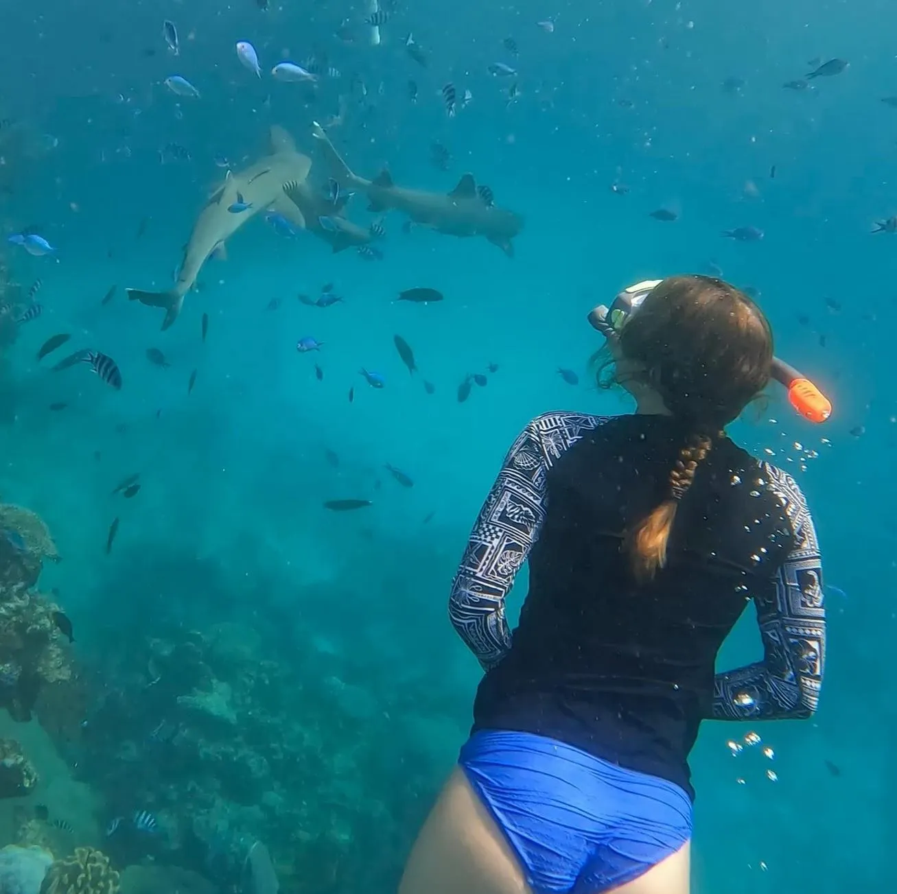Snorkelling