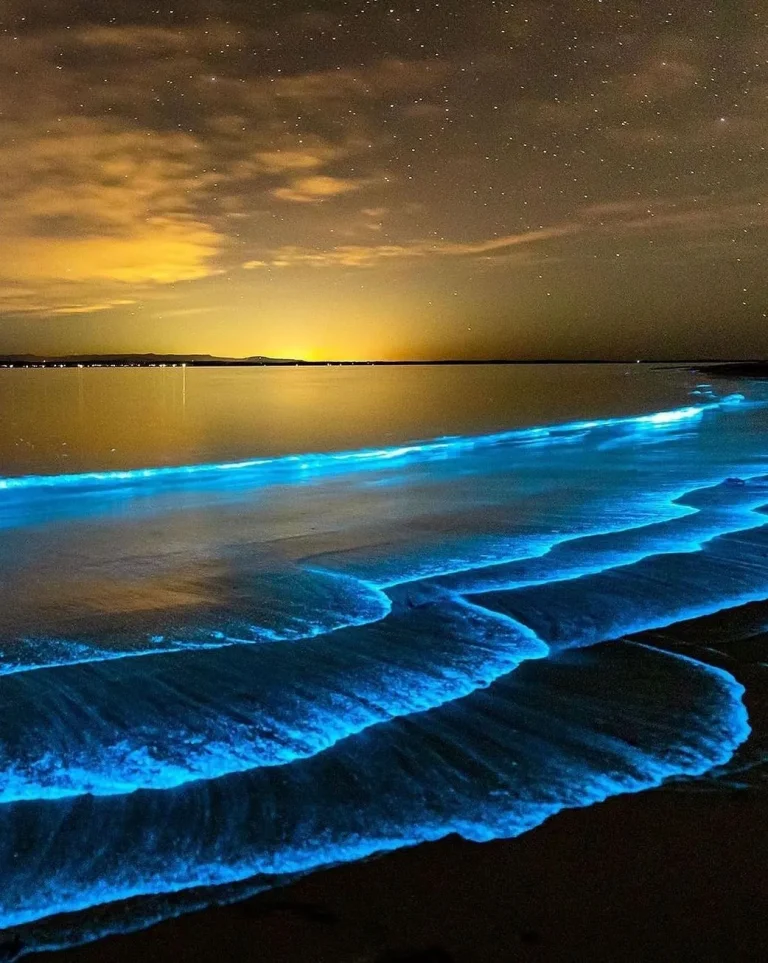 What is Jervis Bay famous for