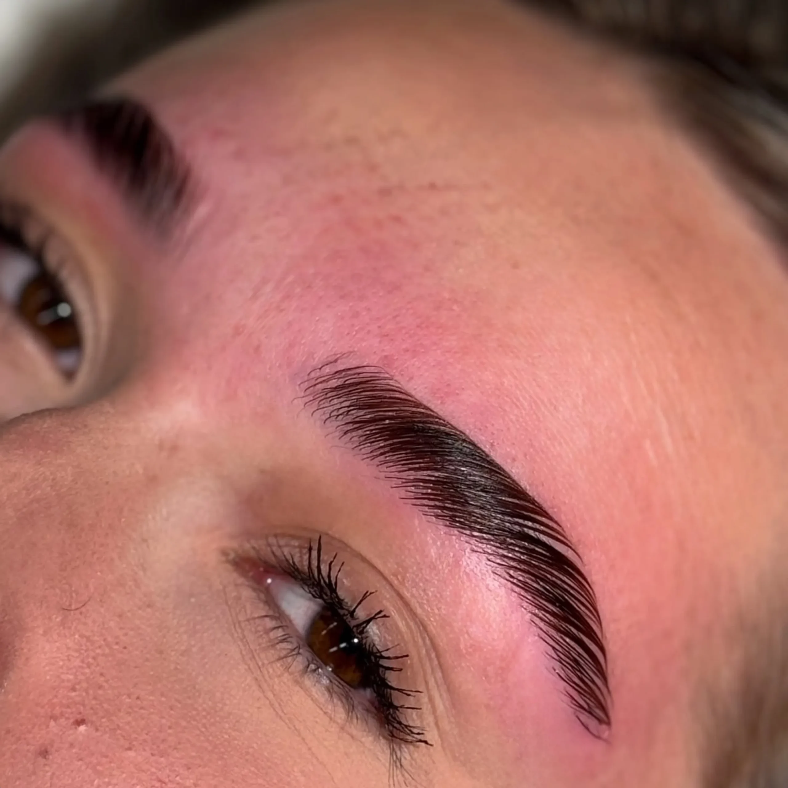 brow lamination certification